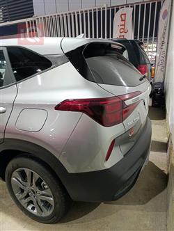 کیا سێلتۆس